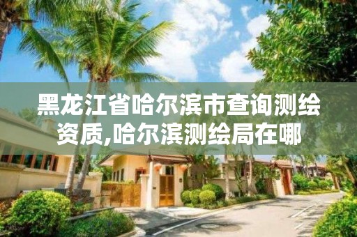 黑龍江省哈爾濱市查詢測繪資質,哈爾濱測繪局在哪