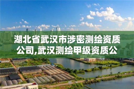 湖北省武漢市涉密測繪資質公司,武漢測繪甲級資質公司