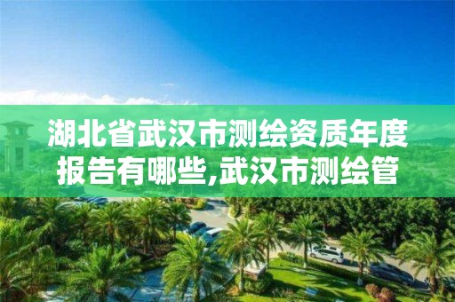 湖北省武漢市測繪資質年度報告有哪些,武漢市測繪管理條例