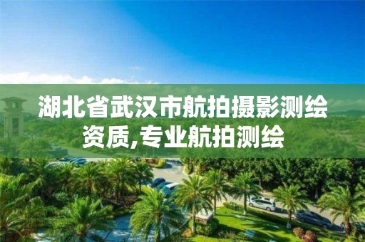 湖北省武漢市航拍攝影測繪資質,專業航拍測繪