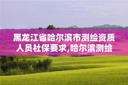 黑龍江省哈爾濱市測繪資質人員社保要求,哈爾濱測繪公司有哪些