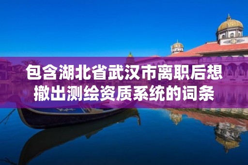 包含湖北省武漢市離職后想撤出測繪資質系統(tǒng)的詞條