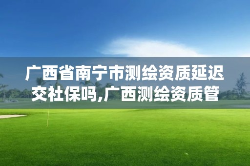 廣西省南寧市測繪資質延遲交社保嗎,廣西測繪資質管理系統