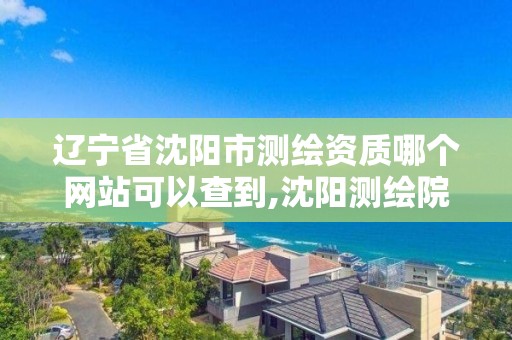 遼寧省沈陽市測繪資質哪個網站可以查到,沈陽測繪院電話。