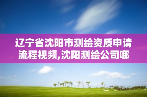 遼寧省沈陽市測繪資質申請流程視頻,沈陽測繪公司哪家強哪家好