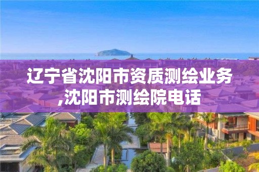 遼寧省沈陽市資質(zhì)測繪業(yè)務(wù),沈陽市測繪院電話