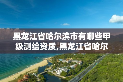 黑龍江省哈爾濱市有哪些甲級(jí)測(cè)繪資質(zhì),黑龍江省哈爾濱市有哪些甲級(jí)測(cè)繪資質(zhì)的公司