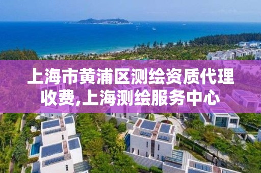 上海市黃浦區測繪資質代理收費,上海測繪服務中心