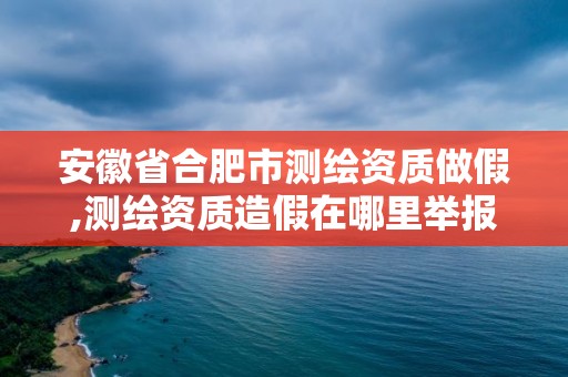 安徽省合肥市測繪資質做假,測繪資質造假在哪里舉報