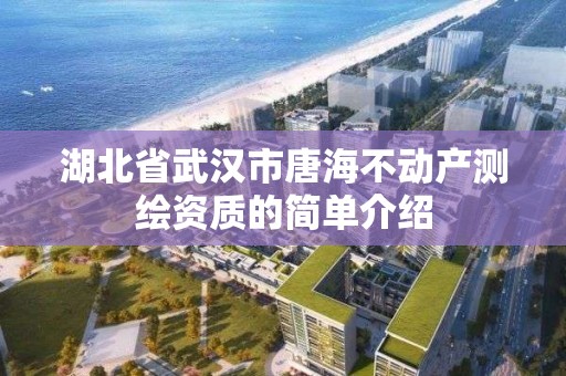 湖北省武漢市唐海不動產測繪資質的簡單介紹