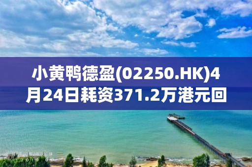 小黃鴨德盈(02250.HK)4月24日耗資371.2萬港元回購256萬股