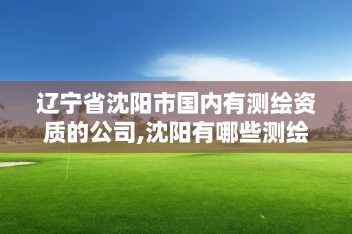 遼寧省沈陽市國內有測繪資質的公司,沈陽有哪些測繪公司招聘