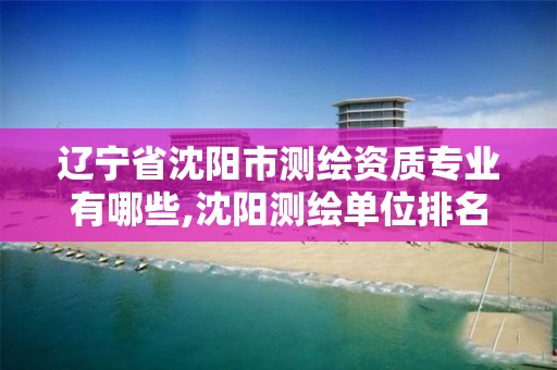 遼寧省沈陽市測繪資質專業有哪些,沈陽測繪單位排名