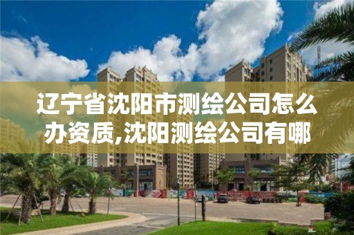 遼寧省沈陽市測繪公司怎么辦資質,沈陽測繪公司有哪些