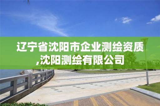 遼寧省沈陽市企業測繪資質,沈陽測繪有限公司