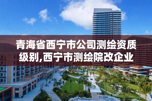 青海省西寧市公司測繪資質級別,西寧市測繪院改企業