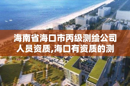 海南省海口市丙級測繪公司人員資質,海口有資質的測繪公司