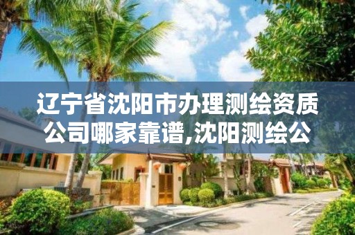 遼寧省沈陽市辦理測繪資質公司哪家靠譜,沈陽測繪公司有哪些。