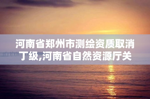 河南省鄭州市測繪資質取消丁級,河南省自然資源廳關于延長測繪資質證書有效期的公告