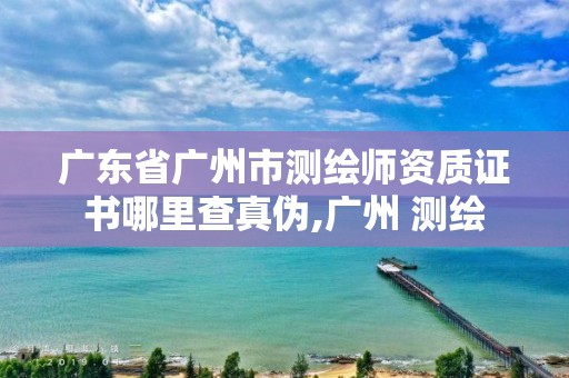 廣東省廣州市測繪師資質(zhì)證書哪里查真?zhèn)?廣州 測繪