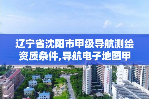 遼寧省沈陽市甲級導航測繪資質條件,導航電子地圖甲級測繪資質名單