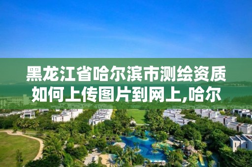 黑龍江省哈爾濱市測繪資質如何上傳圖片到網上,哈爾濱測繪地理信息局。