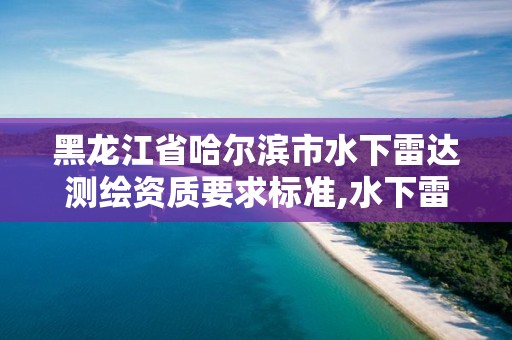 黑龍江省哈爾濱市水下雷達測繪資質要求標準,水下雷達實時成像。