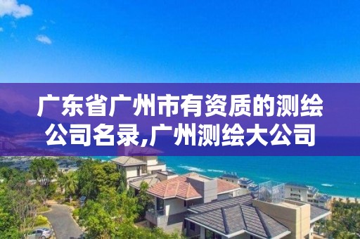 廣東省廣州市有資質的測繪公司名錄,廣州測繪大公司有哪些