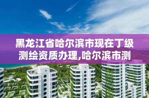 黑龍江省哈爾濱市現在丁級測繪資質辦理,哈爾濱市測繪院