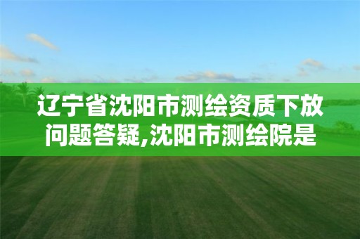 遼寧省沈陽市測繪資質(zhì)下放問題答疑,沈陽市測繪院是什么單位