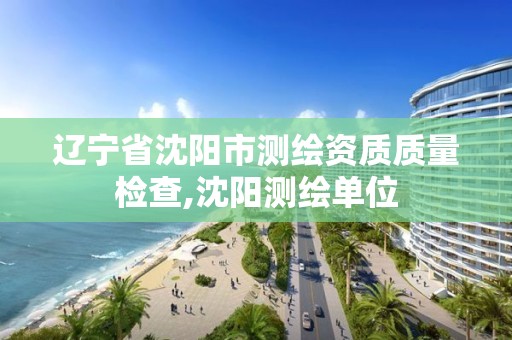 遼寧省沈陽市測繪資質質量檢查,沈陽測繪單位