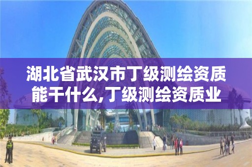 湖北省武漢市丁級測繪資質能干什么,丁級測繪資質業務范圍。