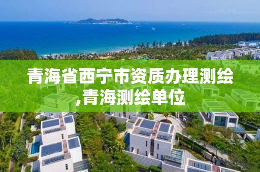 青海省西寧市資質辦理測繪,青海測繪單位