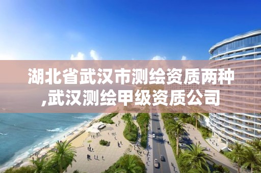 湖北省武漢市測繪資質兩種,武漢測繪甲級資質公司