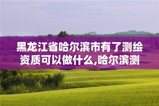 黑龍江省哈爾濱市有了測繪資質(zhì)可以做什么,哈爾濱測繪地理信息局招聘公告。