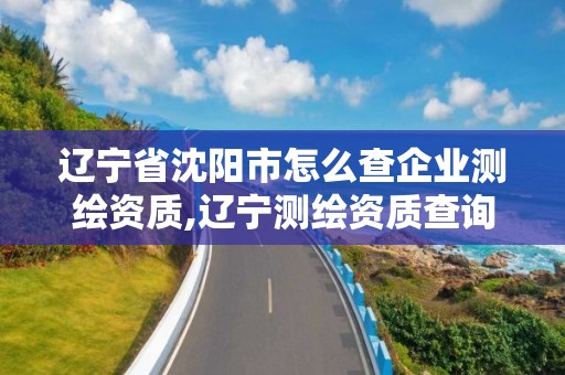 遼寧省沈陽市怎么查企業(yè)測繪資質(zhì),遼寧測繪資質(zhì)查詢