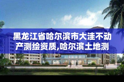 黑龍江省哈爾濱市大洼不動產測繪資質,哈爾濱土地測繪公司