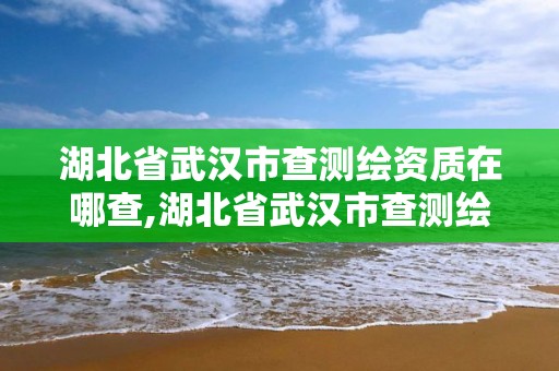 湖北省武漢市查測繪資質在哪查,湖北省武漢市查測繪資質在哪查的