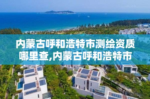 內蒙古呼和浩特市測繪資質哪里查,內蒙古呼和浩特市測繪資質哪里查的到