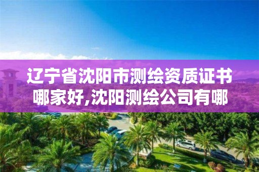 遼寧省沈陽市測繪資質證書哪家好,沈陽測繪公司有哪些。