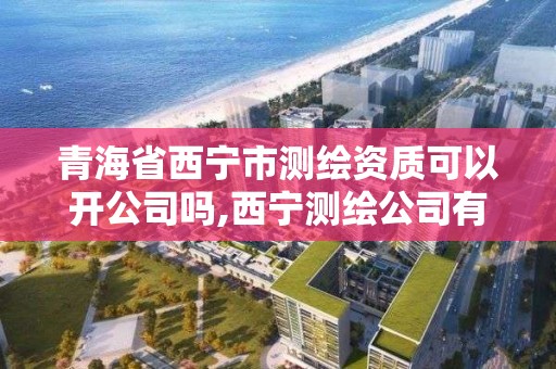 青海省西寧市測繪資質可以開公司嗎,西寧測繪公司有哪些