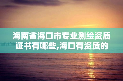 海南省海口市專業測繪資質證書有哪些,海口有資質的測繪公司。