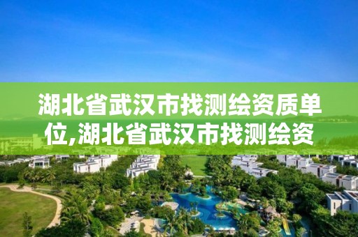 湖北省武漢市找測繪資質單位,湖北省武漢市找測繪資質單位的公司