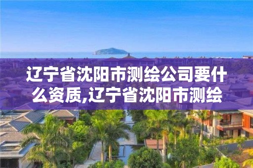 遼寧省沈陽市測繪公司要什么資質,遼寧省沈陽市測繪公司要什么資質才能開