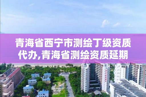 青海省西寧市測繪丁級資質代辦,青海省測繪資質延期公告