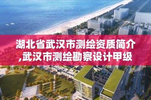 湖北省武漢市測繪資質簡介,武漢市測繪勘察設計甲級資質公司