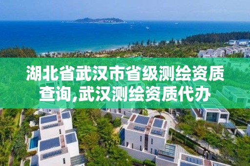 湖北省武漢市省級測繪資質查詢,武漢測繪資質代辦