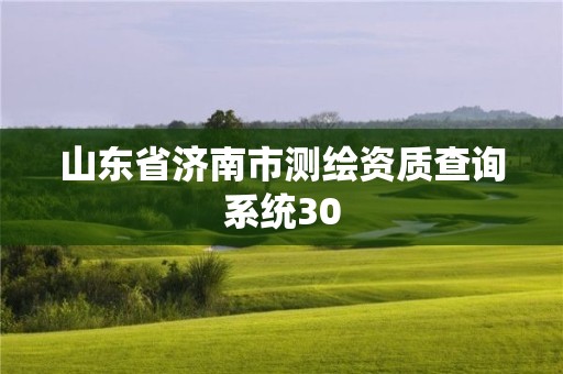 山東省濟(jì)南市測繪資質(zhì)查詢系統(tǒng)30