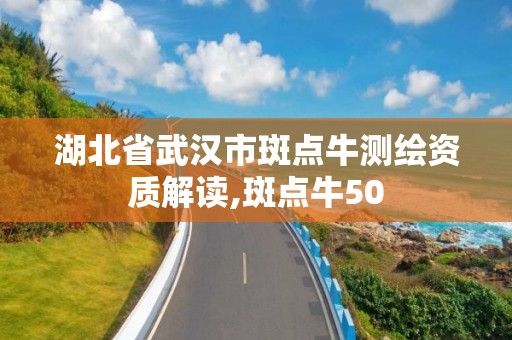 湖北省武漢市斑點牛測繪資質解讀,斑點牛50