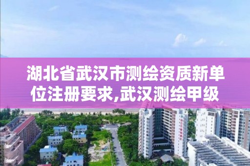 湖北省武漢市測繪資質新單位注冊要求,武漢測繪甲級資質公司。